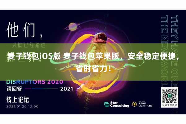 麦子钱包iOS版 麦子钱包苹果版，安全稳定便捷，省时省力！