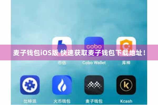 麦子钱包iOS版 快速获取麦子钱包下载地址！