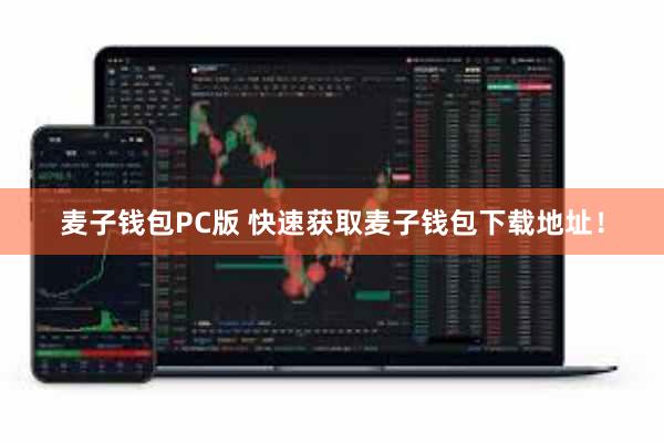 麦子钱包PC版 快速获取麦子钱包下载地址！