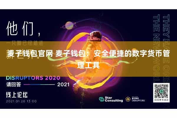 麦子钱包官网 麦子钱包：安全便捷的数字货币管理工具