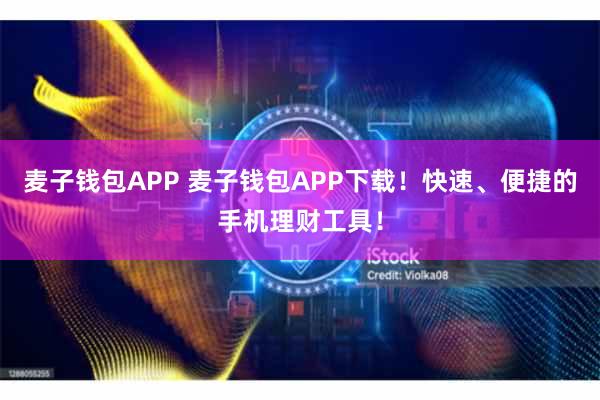 麦子钱包APP 麦子钱包APP下载！快速、便捷的手机理财工具！