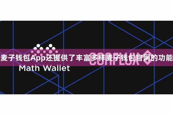麦子钱包App还提供了丰富多样麦子钱包官网的功能