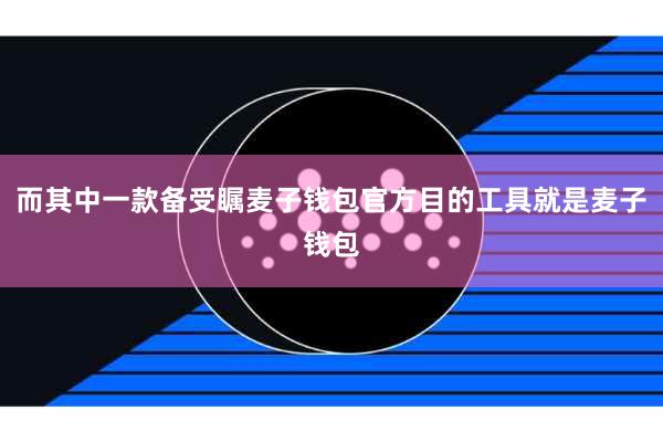 而其中一款备受瞩麦子钱包官方目的工具就是麦子钱包