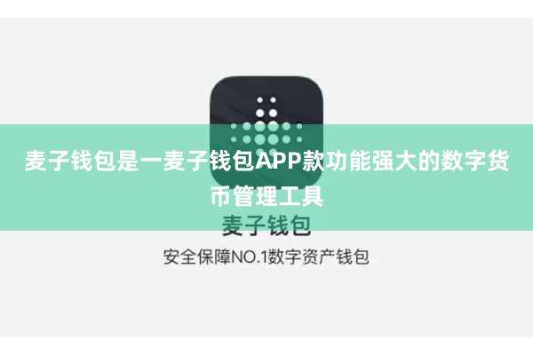 麦子钱包是一麦子钱包APP款功能强大的数字货币管理工具